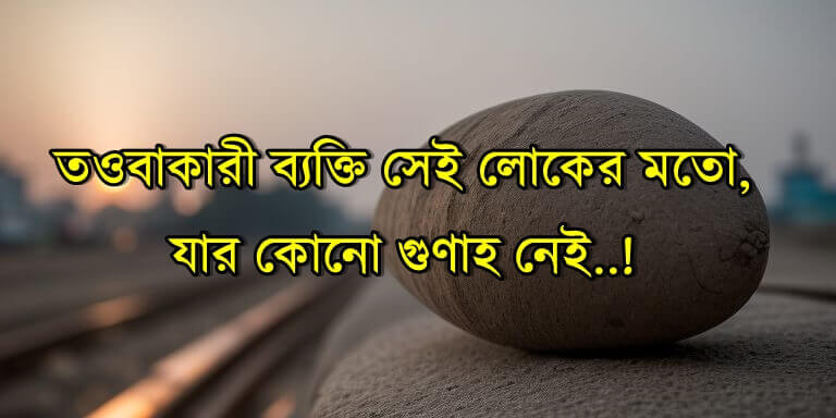 Islamic status |  ইসলামিক স্ট্যাটাস