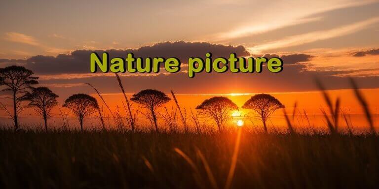 Nature picture